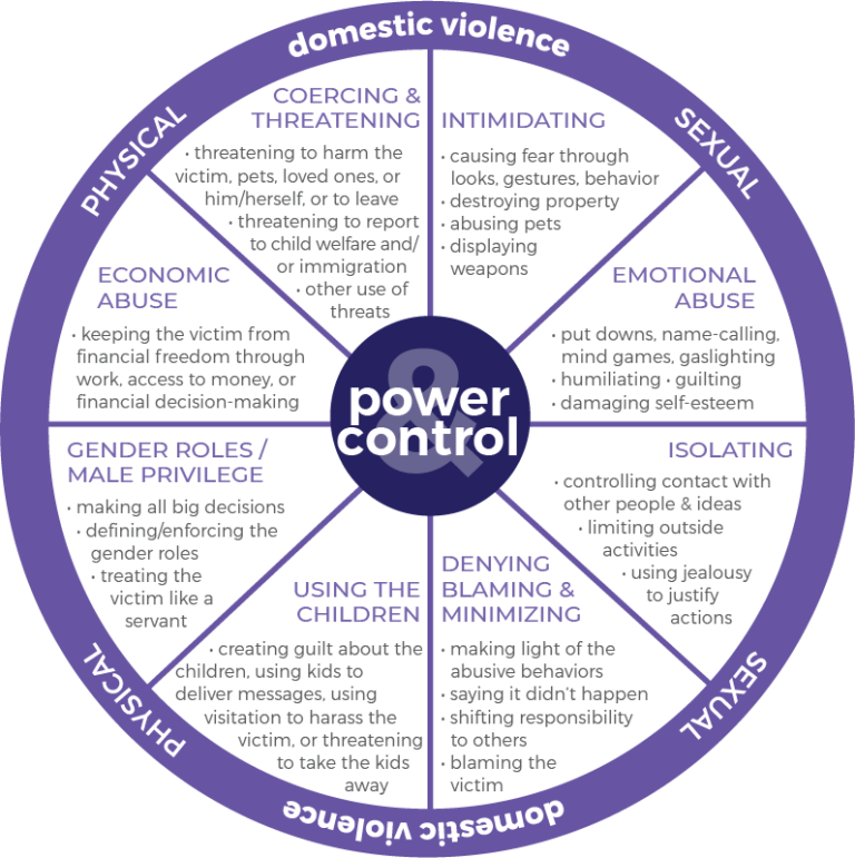 Power & Control Wheel - Palomar